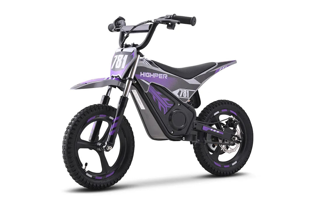 Electric Mini Dirt Bike Main View