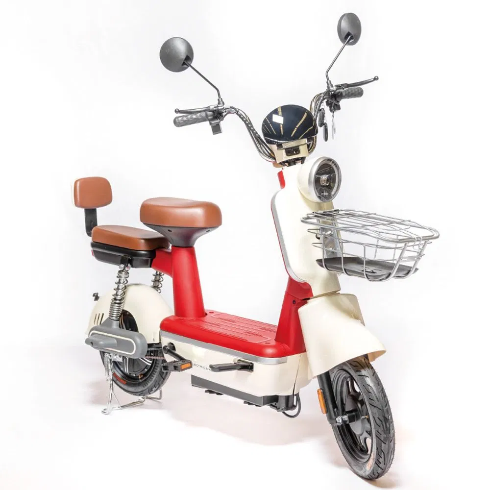 Electric Bike View 1