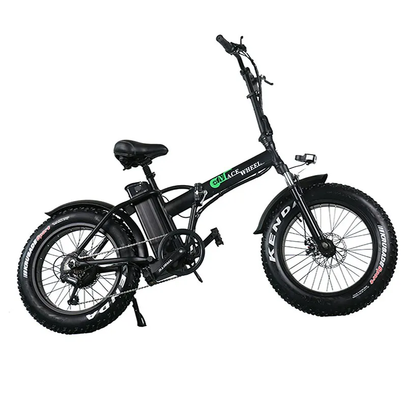 Electric Bicycle