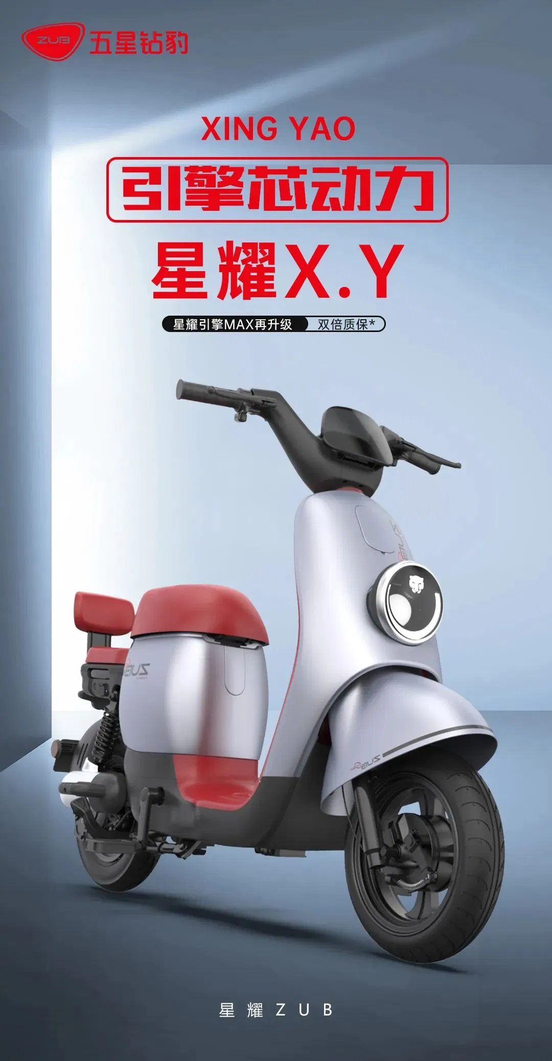 Comfortable Electric Bike with 48V Lead Acid Battery for Kids Pick up