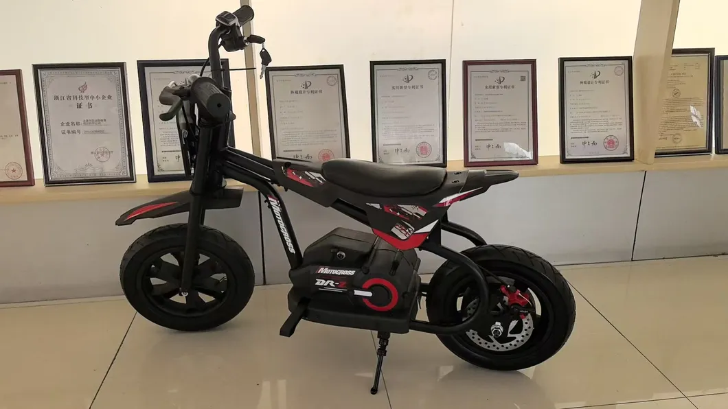 Electric Motorcycle Mini Motorcycle