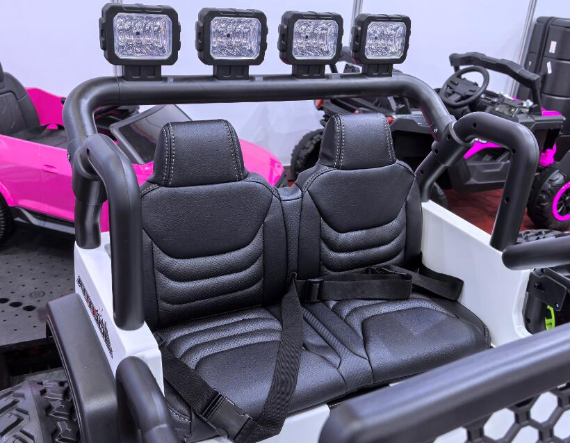 24V Electric Ride on Car, 2 Seater Battery Powered Truck for Kids