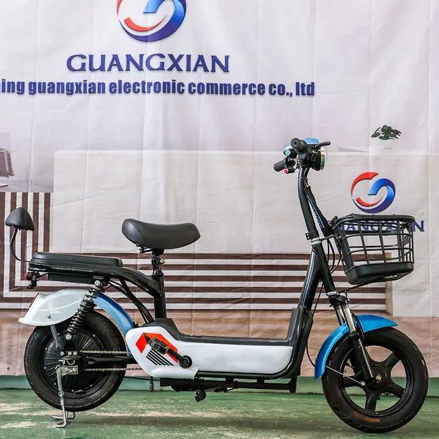 Electric Bicycle Model