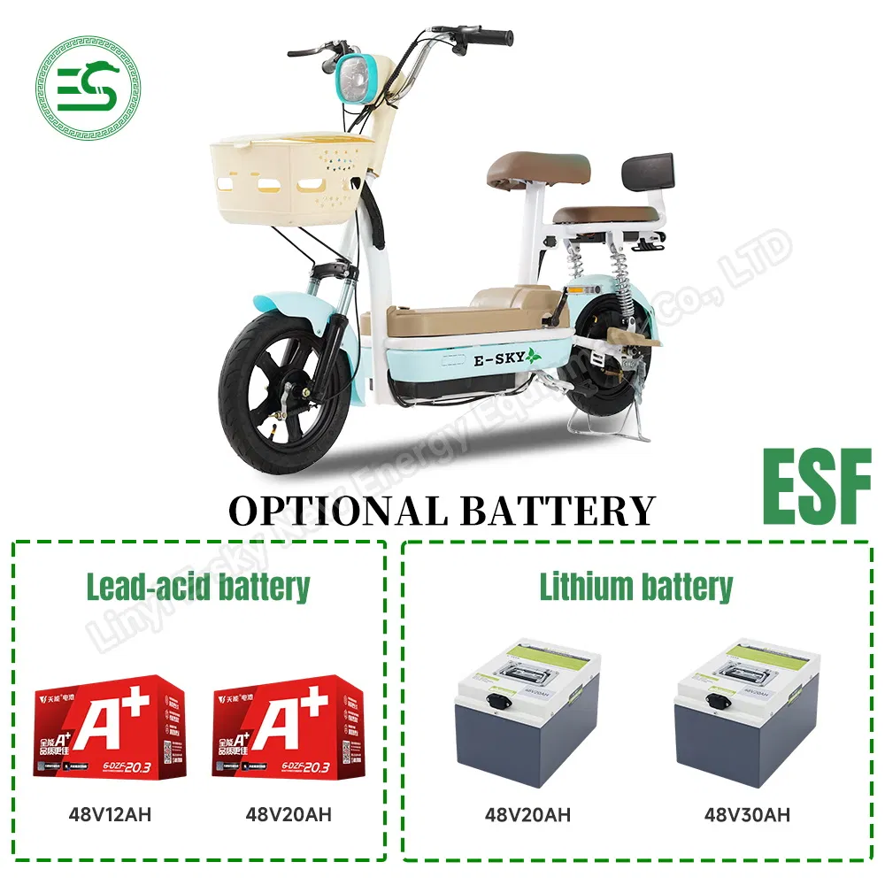 CE Coc Self Electric Adult or Kids Scooter Folding Hot Sale Esf