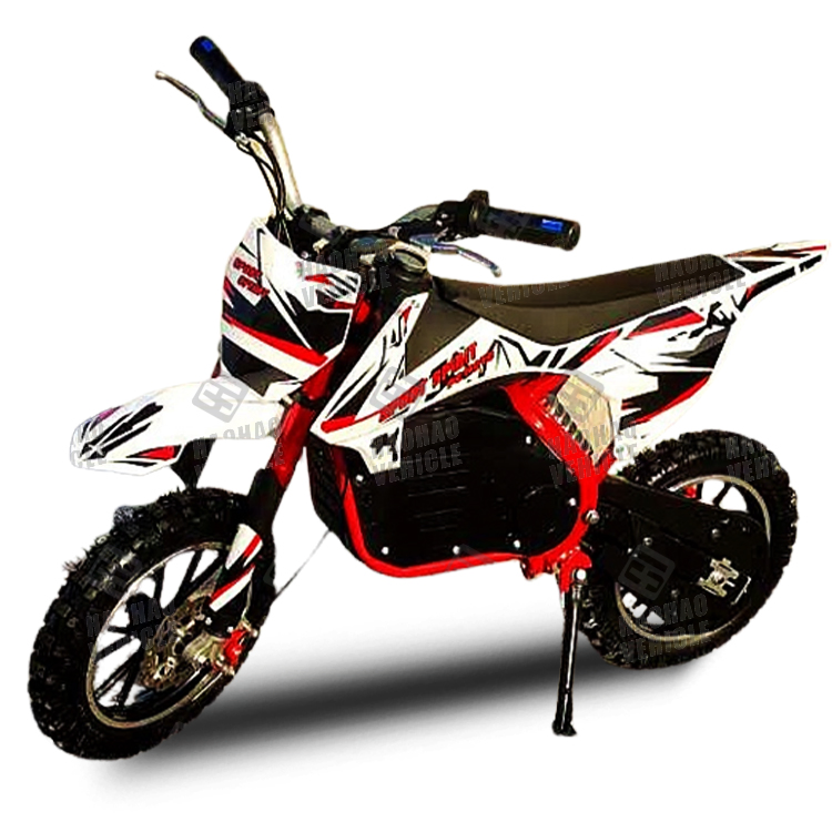 Mini Electric Dirt Bike 36V 800W Quad Bikes for Kids
