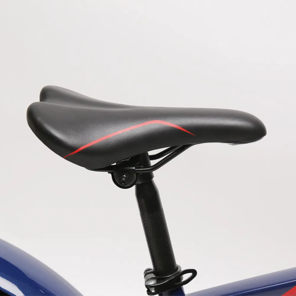 Comfort Saddle