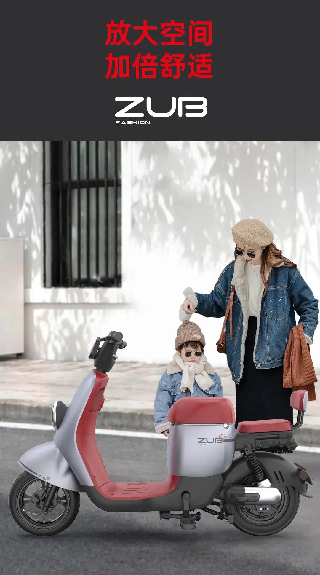 Comfortable Electric Bike with 48V Lead Acid Battery for Kids Pick up