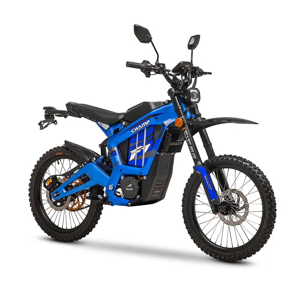 Champ 2024 Hot Selling off Road Motorcycle High Speed 6000W Surr Ron Electric Motor OEM Electric Dirt Bike for Kids