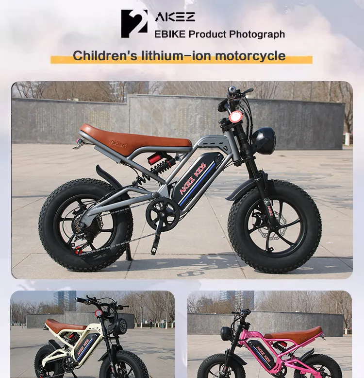 Kids Electric Bike View 2
