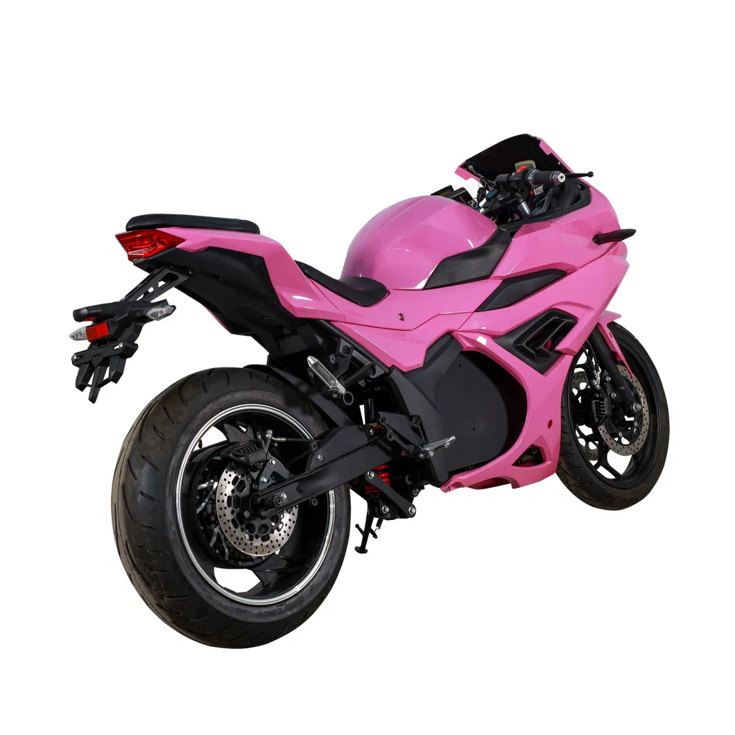 Electric Motorcycle Rear View