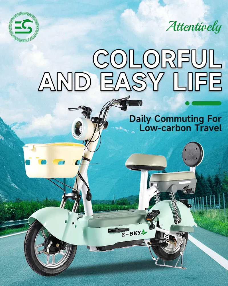 Electric Scooter Display