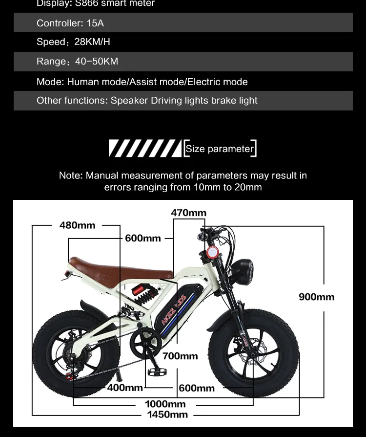 Electric Bike Full Profile