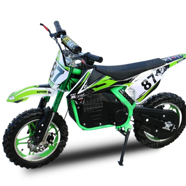 Mini Electric Dirt Bike 36V 800W Quad Bikes for Kids