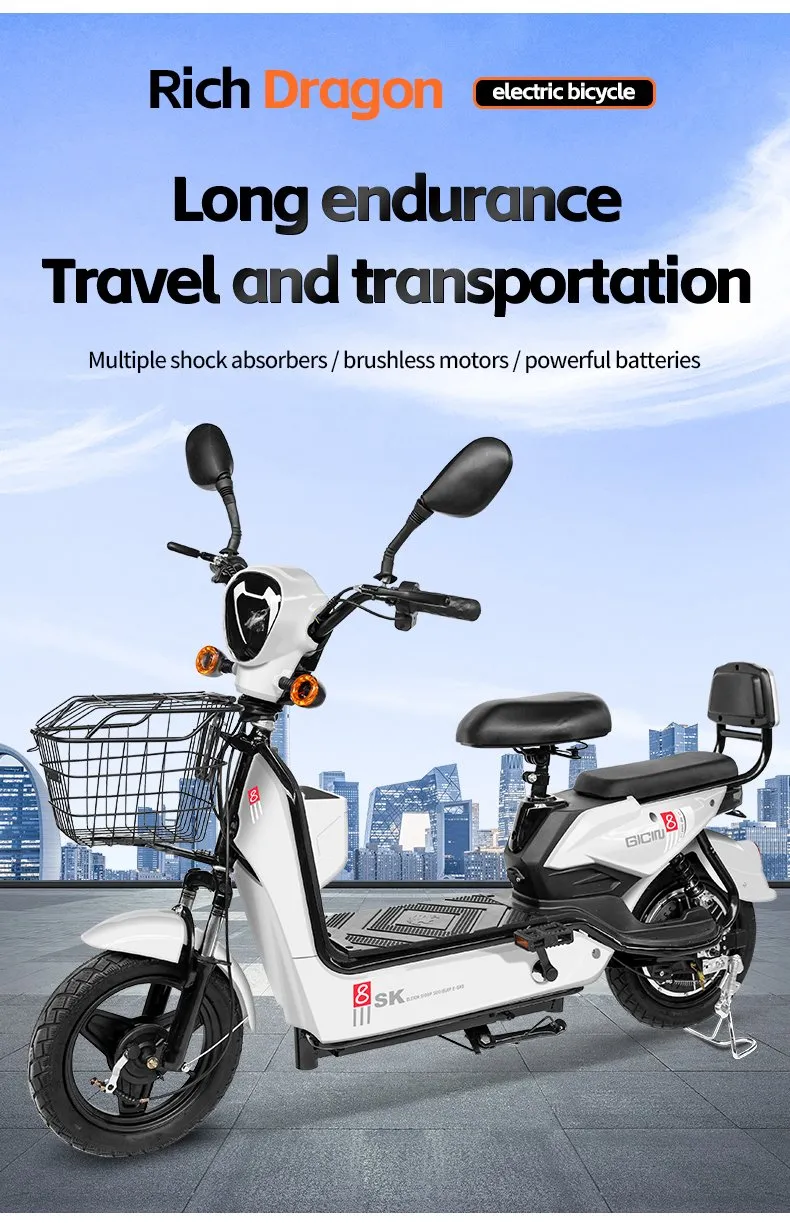 Electric Bike for Kids 3