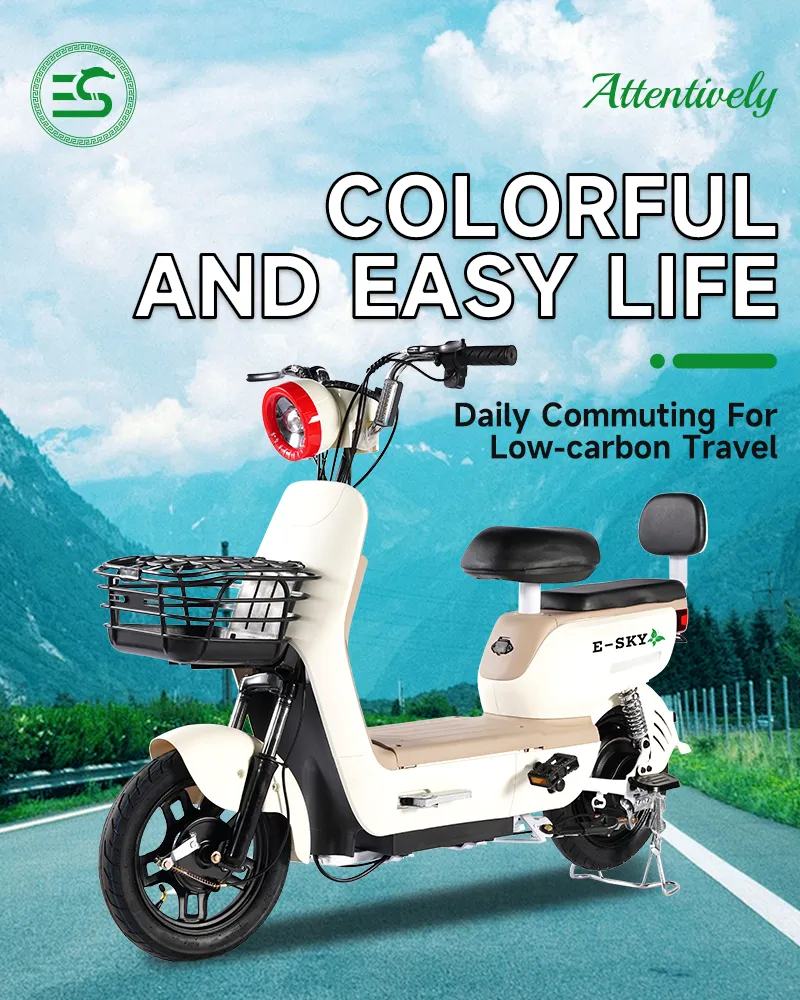 Electric Scooter Display 1