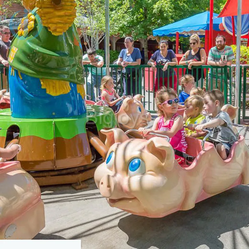 Amusement Park Rides