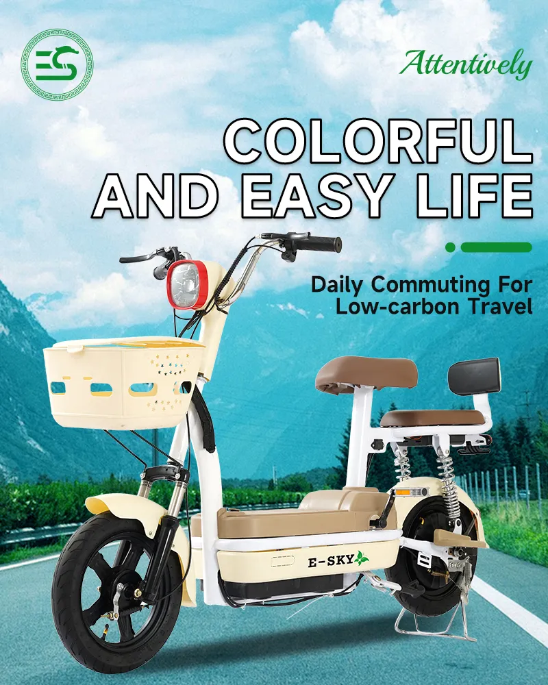 Electric Scooter Display