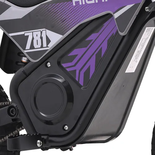 Kids Mini Motocross Detail 4