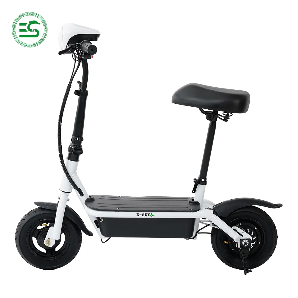 CE Self Balance Electric Scooter Fold Adult Kids Hot Selling Sesa