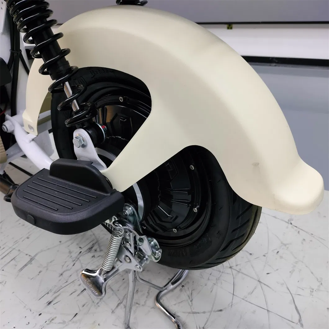 Electric Scooter Detail