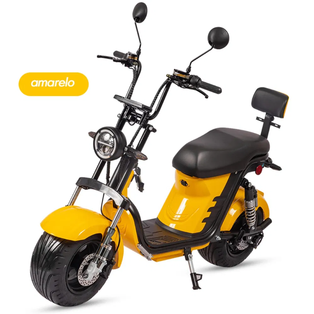 Mini Electric Motorcycle Electric Motorbike for Adults