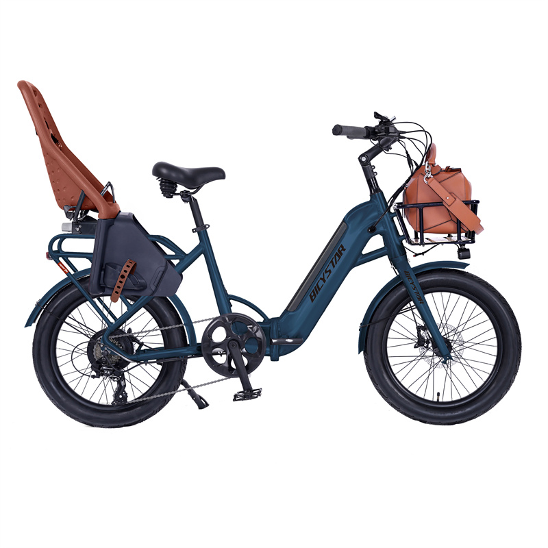 Two Wheel 20 Inch 48V Electric Cargo E Bike Kids Central EU Free Shipping
