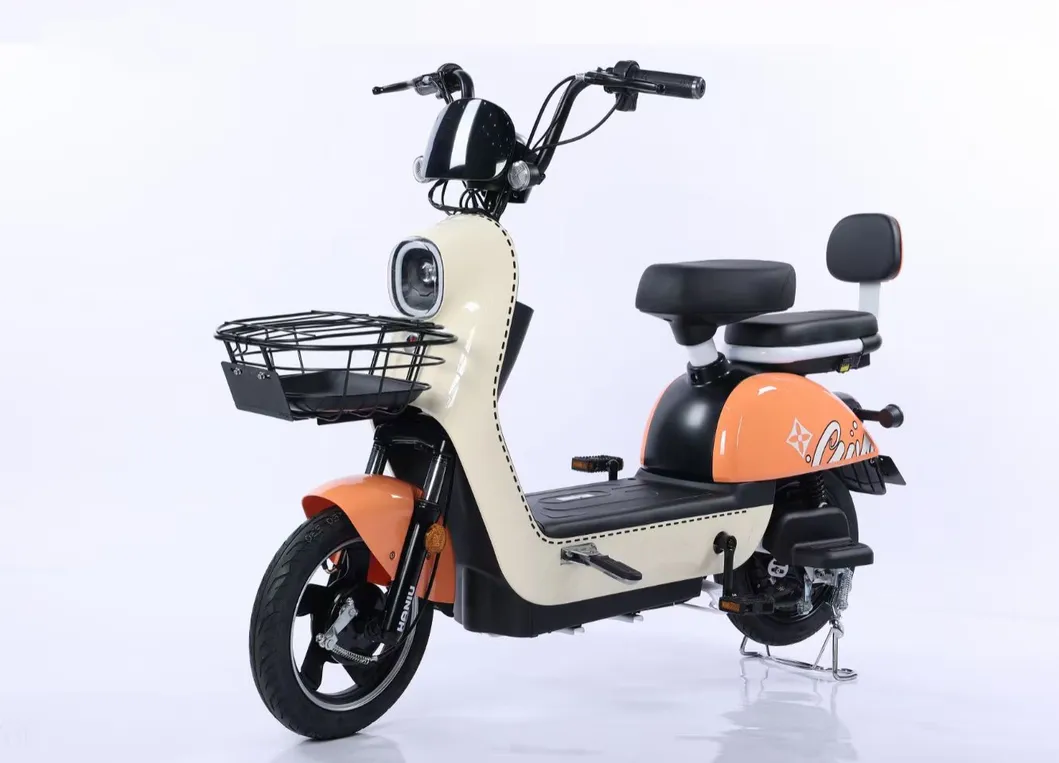 Electric Bike View 4