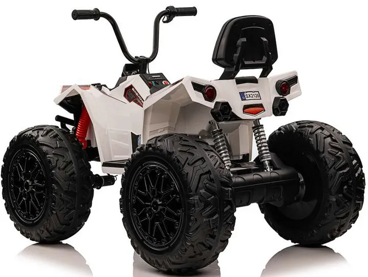 ATV Quad Rear View