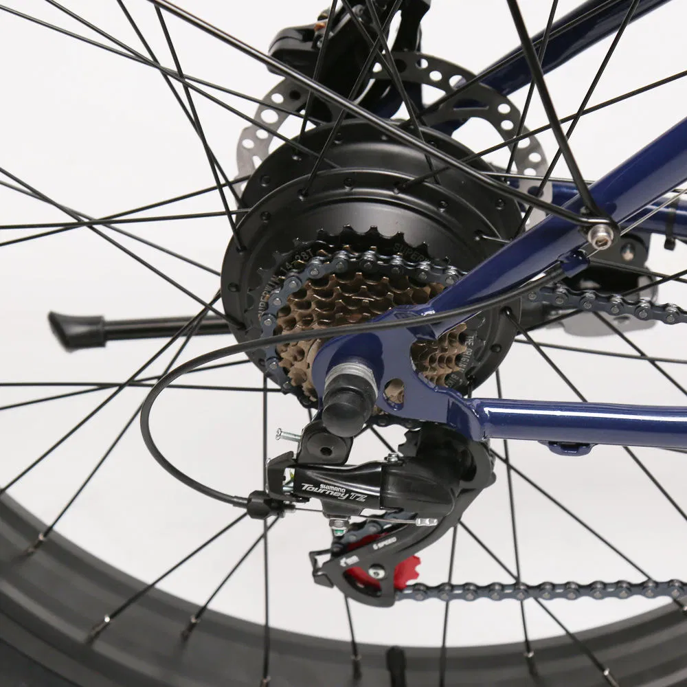 Txed Kids Fast Fat Tire Ebike E Mountain Bicicleta Long Range Electronic Cycle by Good Supplier