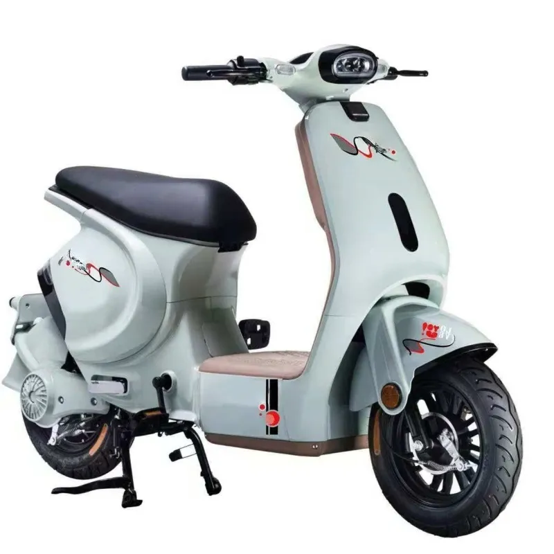 Electric Motorcycle Detail 1