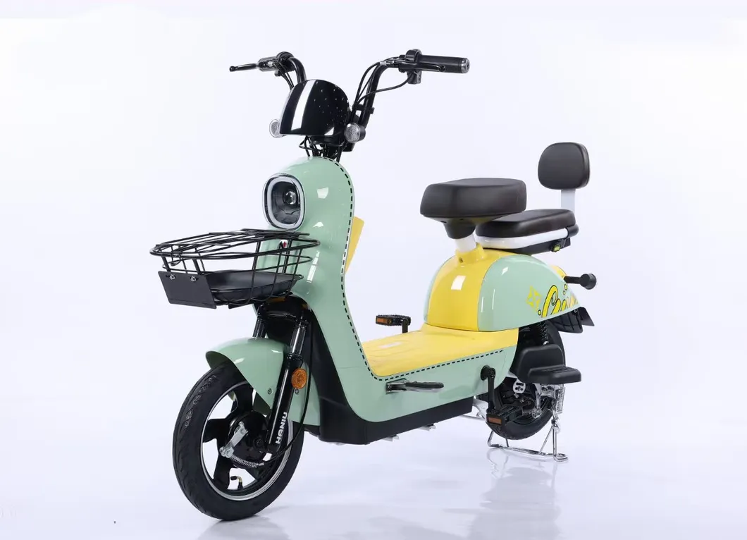 Electric Bike View 3