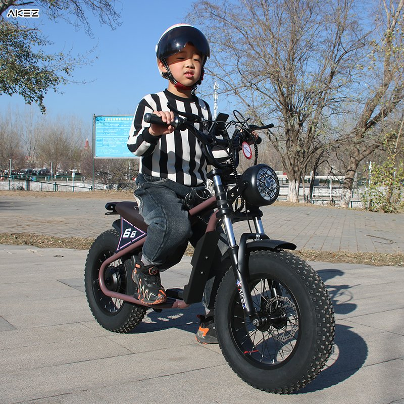 Akez 2025 16-Inch Kids Fat Tire Electric Bike, 36V 350W 15ah