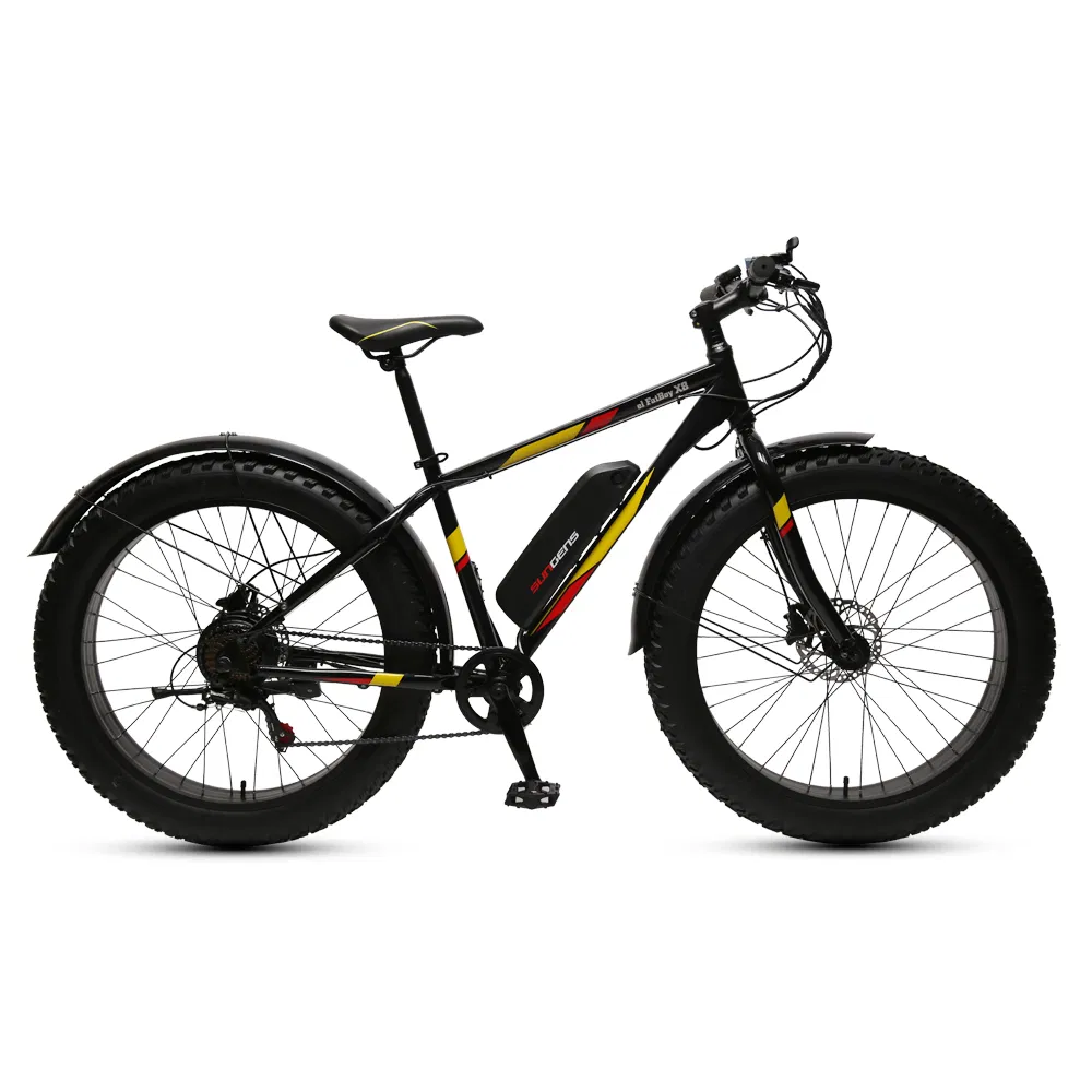 Electric Fat Bike