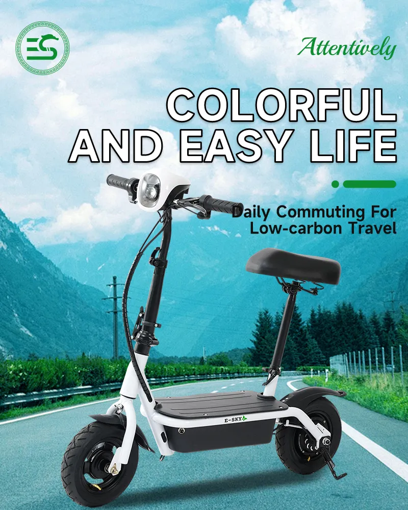 Electric Scooter Overview