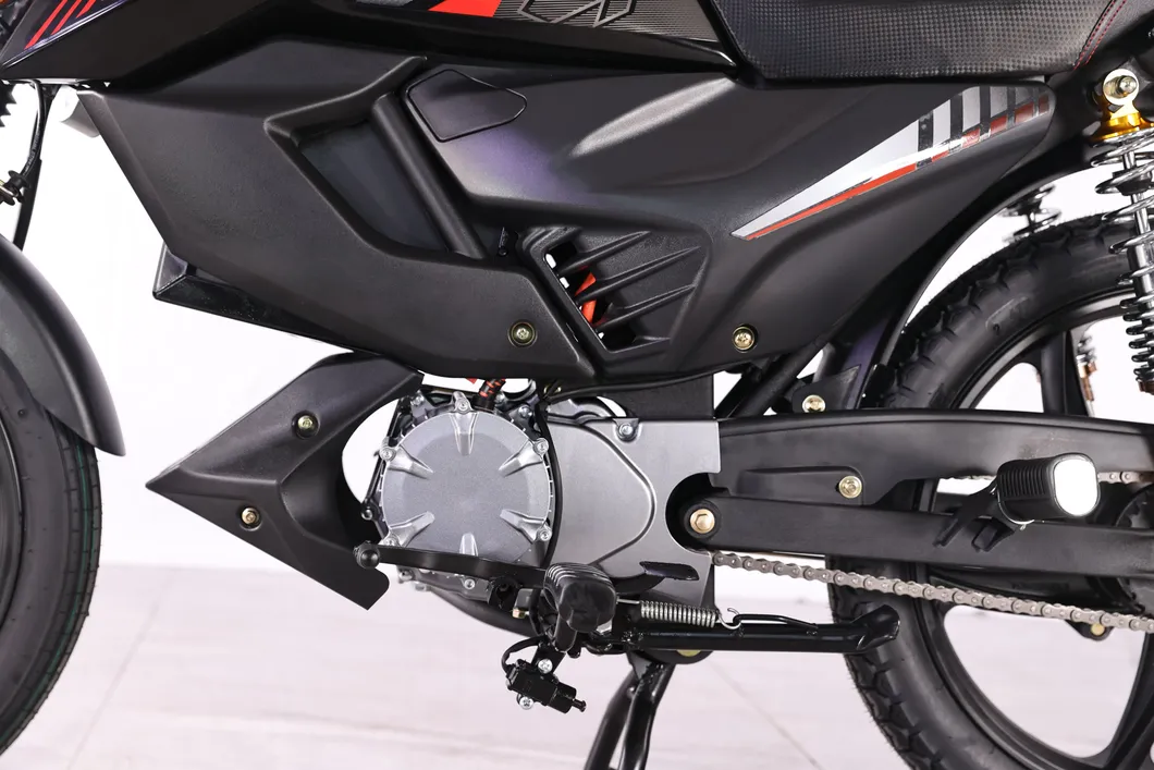 Motorcycle Side View