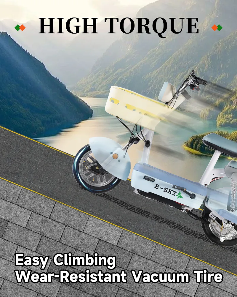 Electric Scooter View