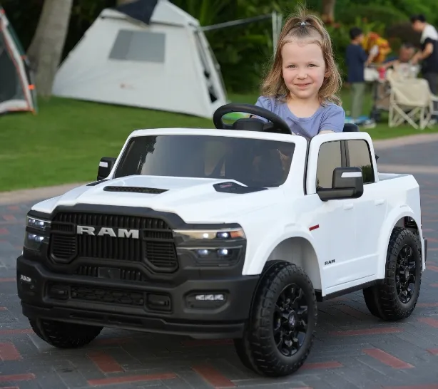 Tire and Motor Detail