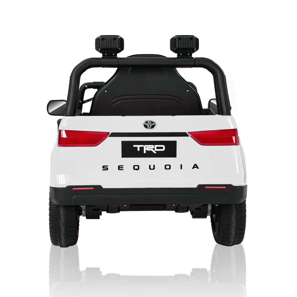 Full View Toyota Truck