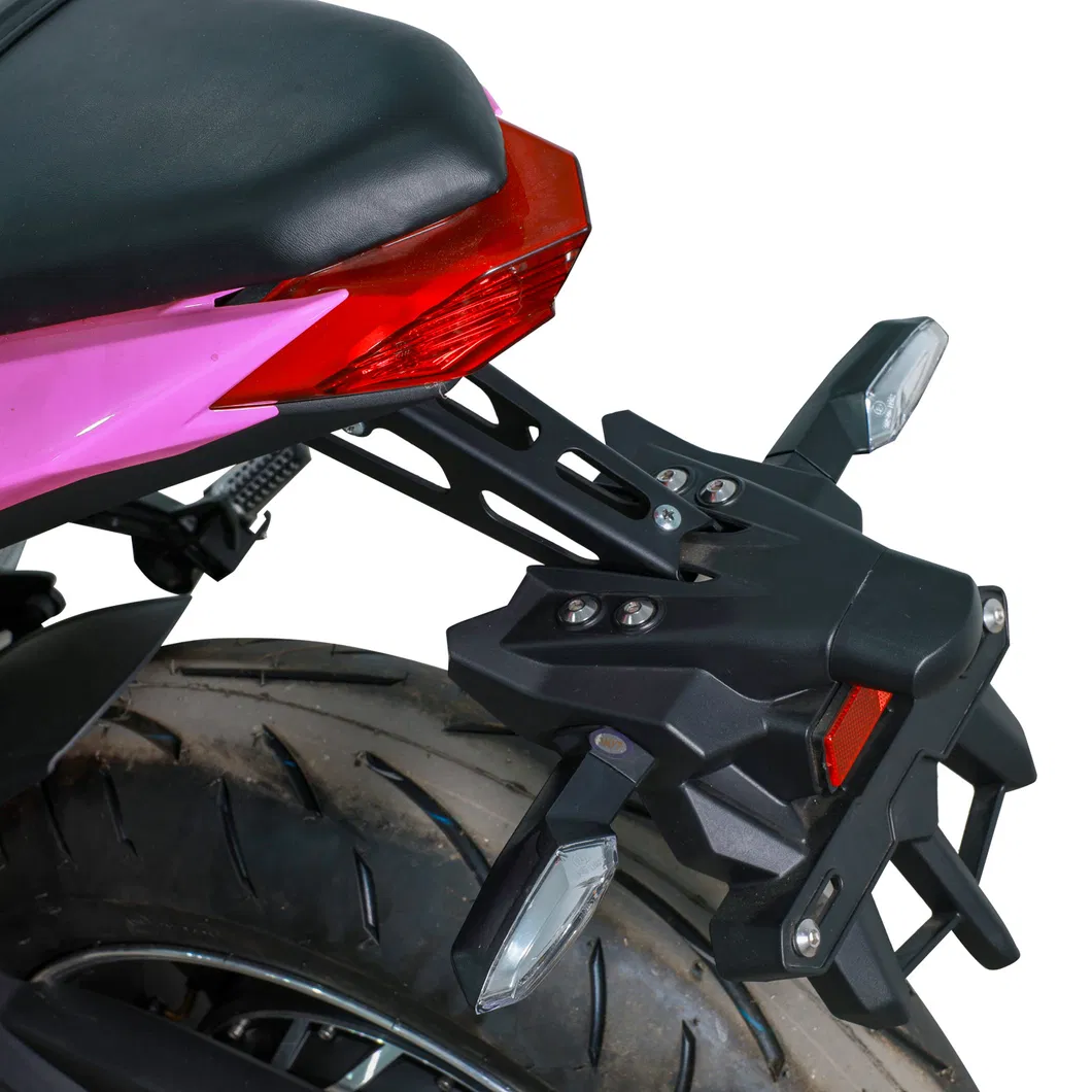 Electric Motorcycle Detail