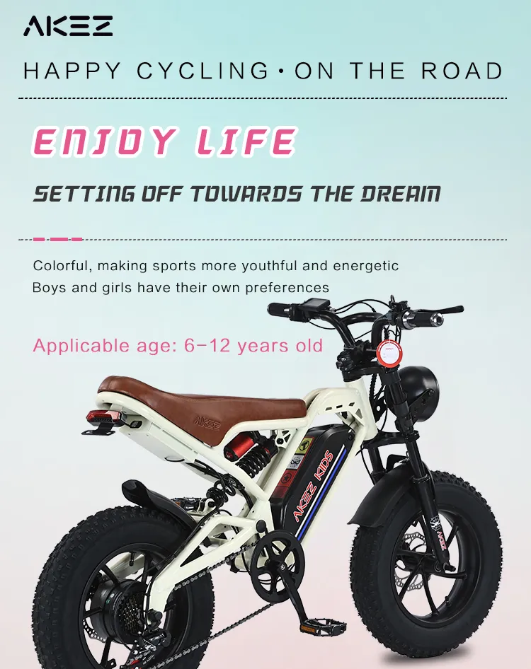 Electric Bike Components