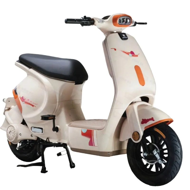 Electric Motorcycle Detail 2