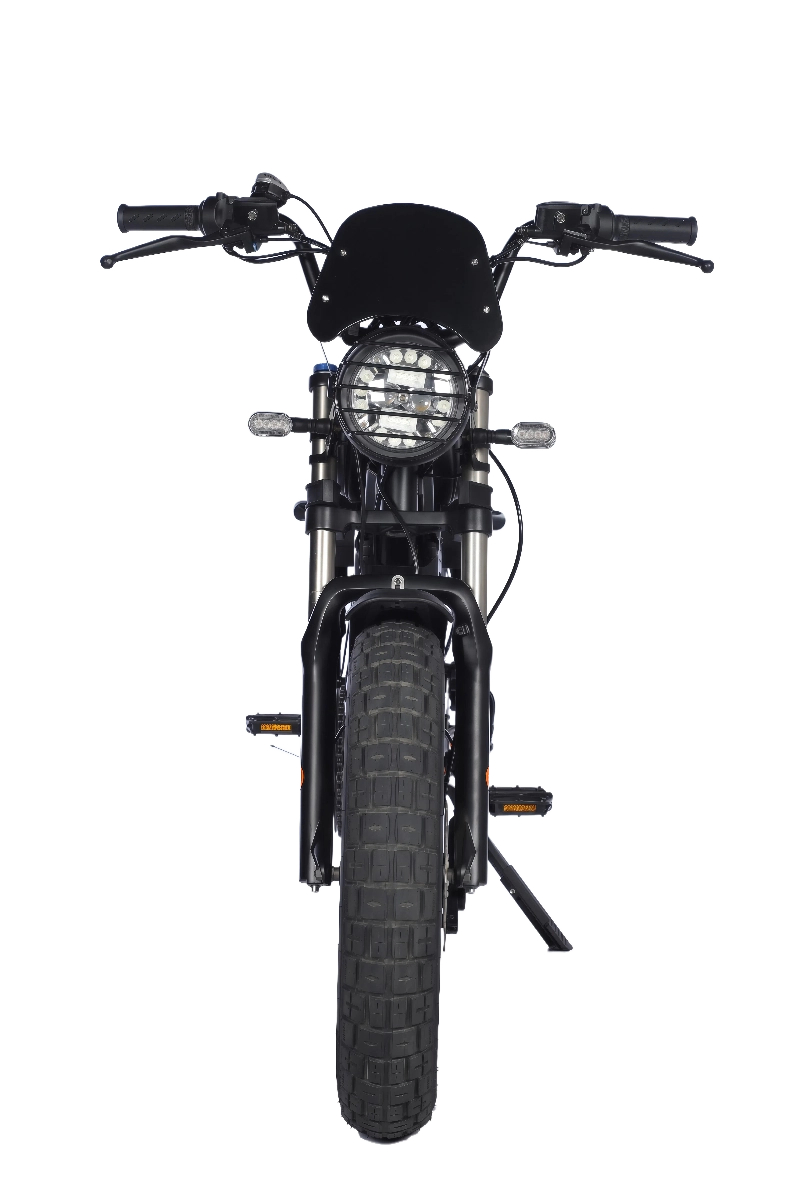 Electric Motorcycle with Mini Size 60V Power Brushless Hub Motor