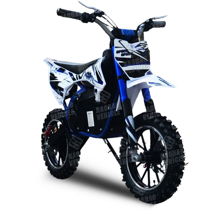 Mini Electric Dirt Bike 36V 800W Quad Bikes for Kids