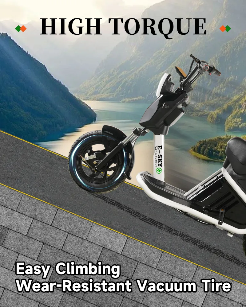 Electric Bicycle Display 3