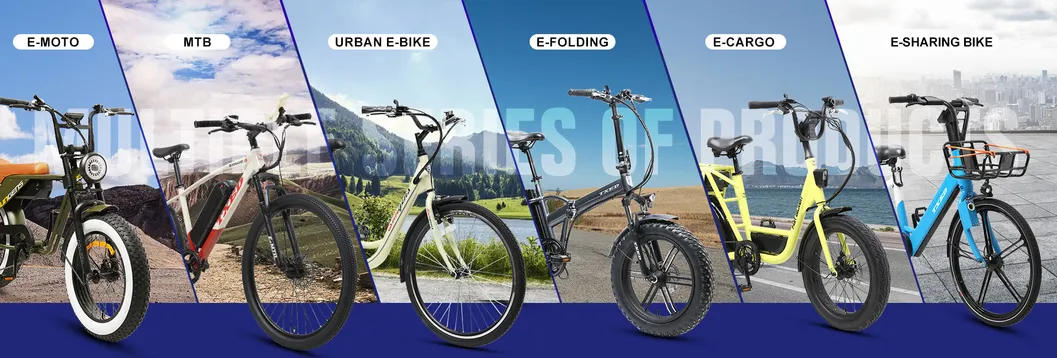 Certification Showcase