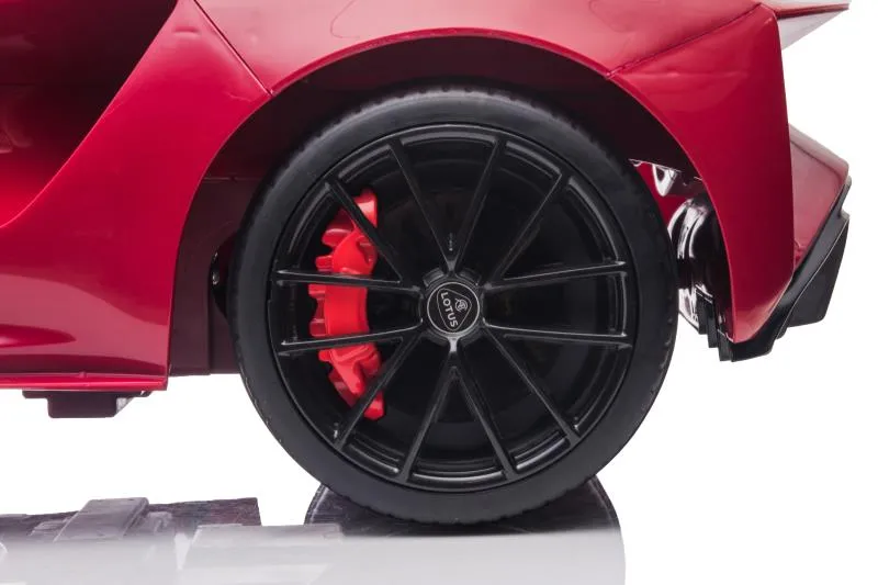 Lotus Licensed Car Detail 6