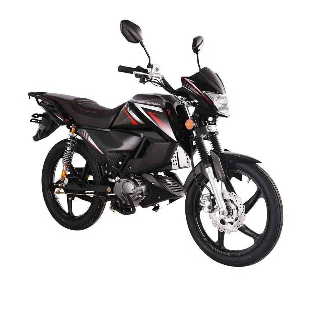 High Quality Alpha Moped Electric Motorcycle Mini MID Drive Electric Motorcycle Electric Motorcycle