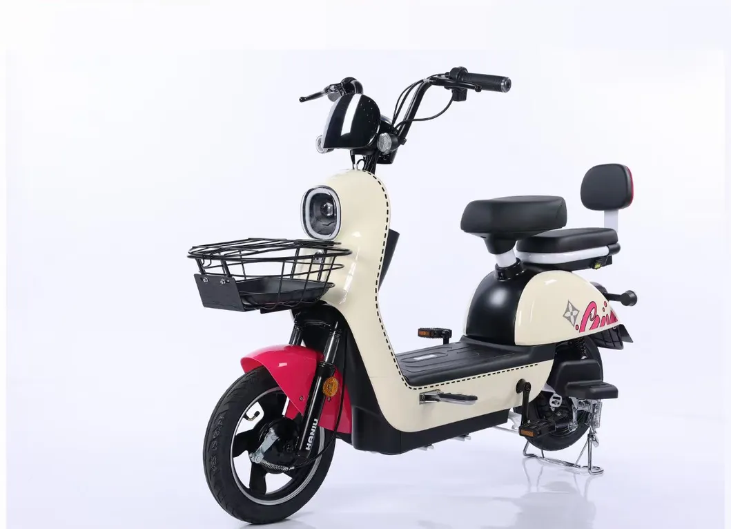 Electric Bike View 2