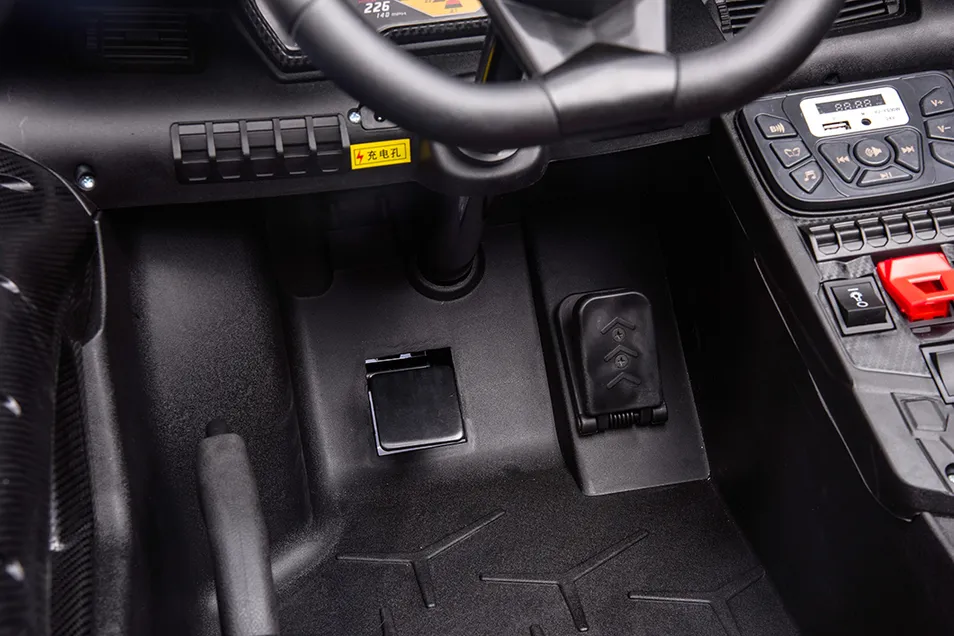 Lamborghini Detail 1