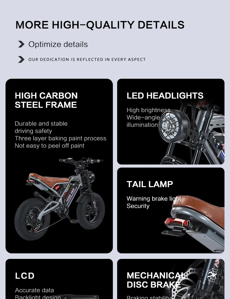 Electric Bike Performance